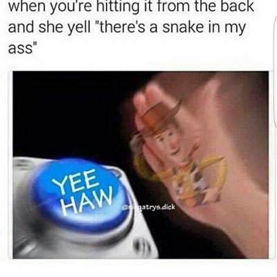 NegativeVibes12's profile picture. Hockey NHL Sports NBA NFL