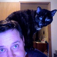 Jim Flannery (@lethbridgejimbo) 's Twitter Profile