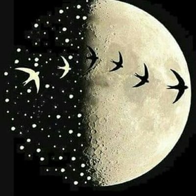 CHP'li .Bir cadı annesi. Nasılsın diye sorma..Ülkem gibiyim işte!..Bir yanım Acı..Bir yanım Gözyaşı.
❌Akp,Pkk,Cemaatciler gelmesin anında engellenir.