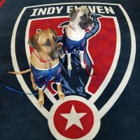 Indy Eleven Mascots(@Indy11mascots) 's Twitter Profile Photo