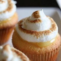 Photos from PBFW (@pbfwphotos) 's Twitter Profile