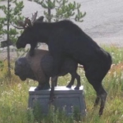 fnaf_true_facts's profile picture. RISE OF IRON AND MEMES