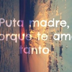 guidorroso's profile picture. Luchar hasta el último aliento.-Enrique VI de William Shakespeare.