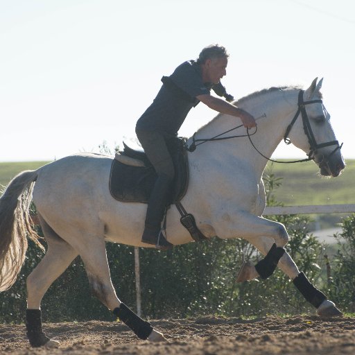 Horse and Rider trainer. hecarmona@live.com