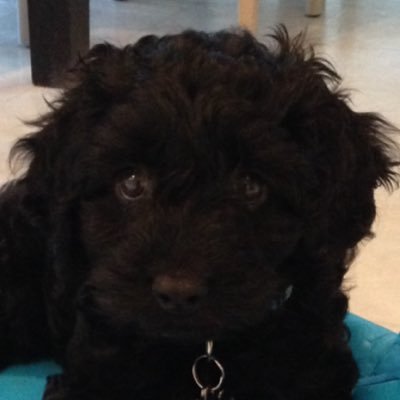 mathman360's profile picture. 