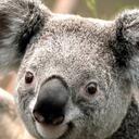 sharon huggins - @tigernow - Twitter