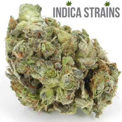 Your source for marijuana related news and insights on different types of Indica Strains.