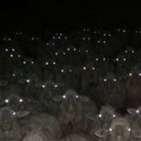 cursed images (@cursedimages_2) 's Twitter Profile Photo