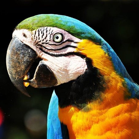 Página Oficial da cidade de
Bonito, Mato Grosso do Sul.
Nos siga e receba nossas atualizações diária com dicas dos passeios em Bonito!