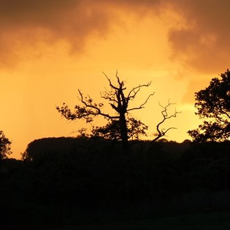 RobertCHassall's profile picture. Kiwi living in the UK managing Handley Enterprises. A business focusing on proviiding farm solutions