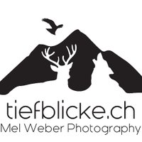 Mel Weber (tiefblicke.ch)(@tiefblicke) 's Twitter Profile Photo