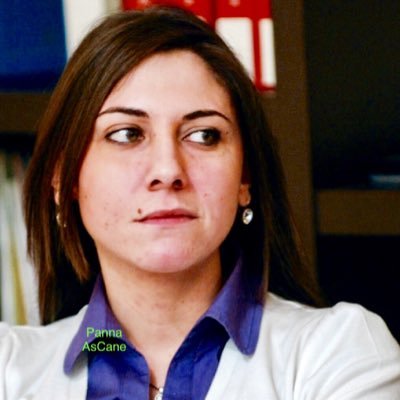 Governo & Istituzioni Informazione Notizie Politica Politica istruzione