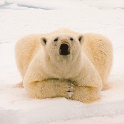 jantvfan's profile picture. TV