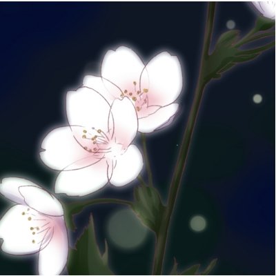 こすもさんのプロフィール画像