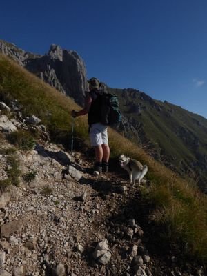 gionnitico's profile picture. 