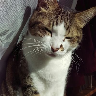 sara_zko's profile picture. 猫好きー！写真好きー！
写真好きな人フォローお願いしまーす！
無言フォローごめんなさい
よさこいやってましたー！