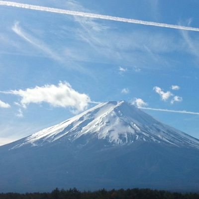 丸山正樹 海老名香葉子の桂木文離婚会見 って何 と思って検索したら あの 翔んだカップル ドラマ版 の桂木文さんが林家 門下の林家しん平と結婚していた しかしわずか7ヶ月で離婚 離婚会見になぜか師匠林家三平のおかみ海老名香葉子も同席し