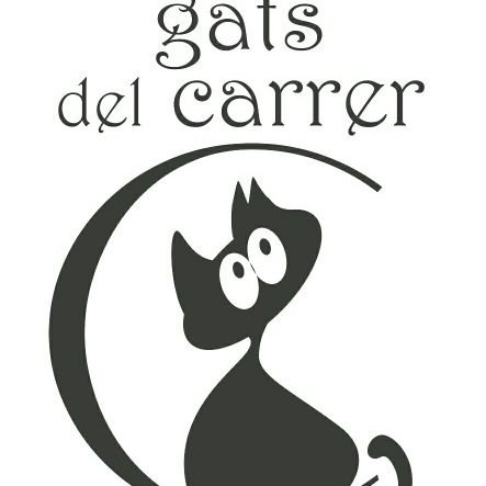 Gats del carrer