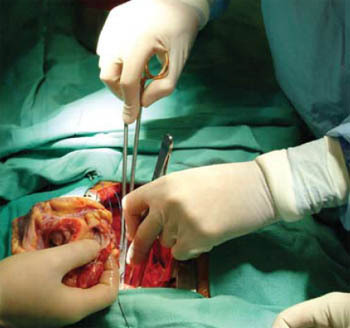 soudoador's profile picture. Participe deste movimento, seja doador de Orgãos e seja um seguidor, expresse sua opnião e divulgue, compartilhe, envolva e incentive, SALVE VIDAS.