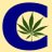 CannabisBizNews avatar