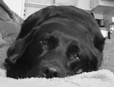 roadrunnergb64's profile picture. NFL Musik Neuigkeiten Technologie & Wissenschaft