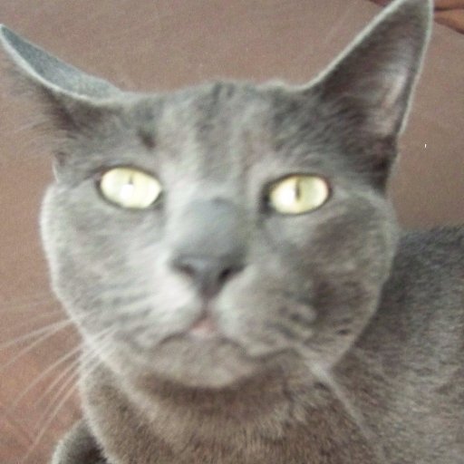 MaydayRuth's profile picture. Reader, writer, rithmeticker. She/her.