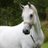 fahad660088's profile image