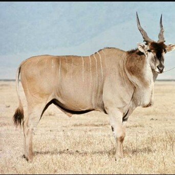 rebeccalamb40's profile picture. Homemaker