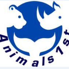 Animals1st Profile Picture