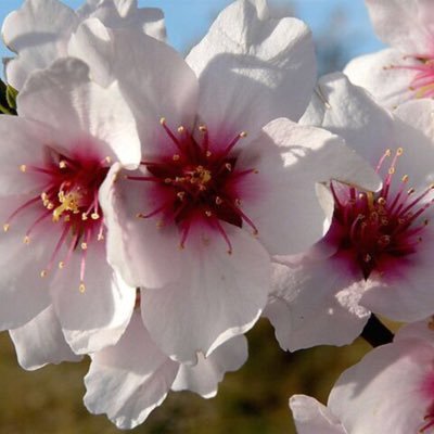 lynn_ebc6388's profile picture. 