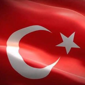 BezirAli's profile picture. 