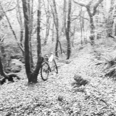 Provider of guided cycling adventures. Lover of the great outdoors and the South West. #comeridewithus #goexplore #gooutdoors