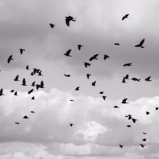 TemyaTemovich's profile picture. 