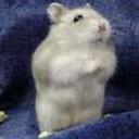 stacey moss - @maycat3 - Twitter