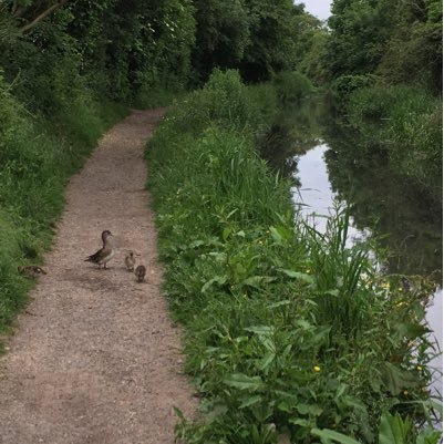 claireinbucks's profile picture. 