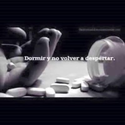 chapa_barmez's profile picture. Libros Música Diversión