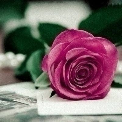 اللهم لك الحمد، ،،،،حمدا -ﻻ ينفذ أوله، ،،،،ولا ينقطع أخره 🌹🌹🌹🌹@(