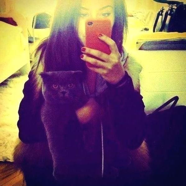 BMccamman's profile picture. 