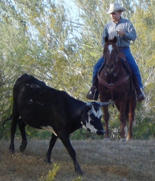 Husband and Father of 2 boys.  Horses and working from home are my passions