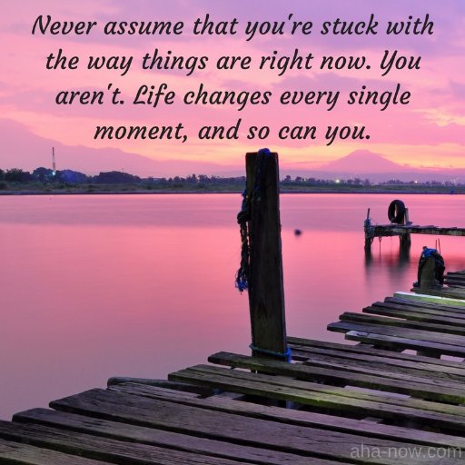 nadrakada's profile picture. 