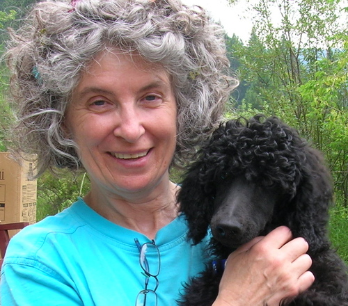 Gyllian_Davies's profile picture. helping women in mid-life and beyond who love our earth, and are hurting for the world, to find hope and possibility in sacred world-mending.