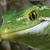 Zoology_Otago (@zoology_otago) Twitter profile photo Zoology_Otago (@zoology_otago) Twitter profile photo