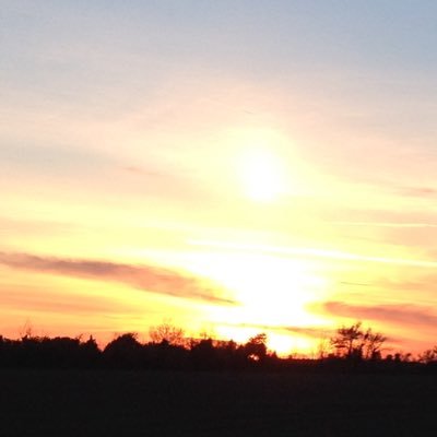 yammaroo's profile picture. 