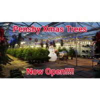 Pensby Xmas Trees(@PensbyXmas) 's Twitter Profile Photo