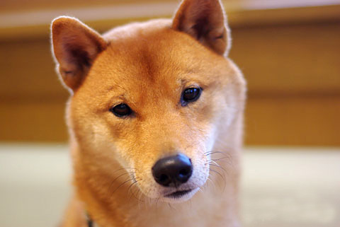 MitsuSugita's profile picture. Design