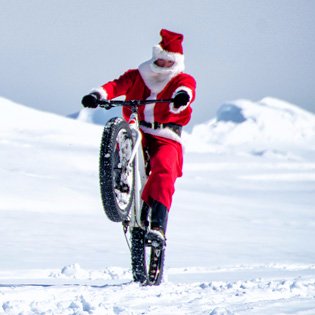 danhaigh30's profile picture. 