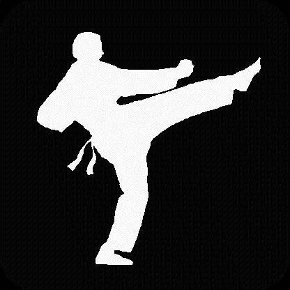 martial arts styles, and effective martial art techniques