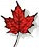 kamcoc's profile picture. The Kamloops Chapter of the Council of Canadians is a non-partisan group that sponsors a number of activities throughout the year