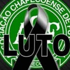 RogeCds's profile picture. 