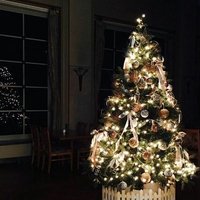 Rio (@rioriver_) 's Twitter Profile Photo